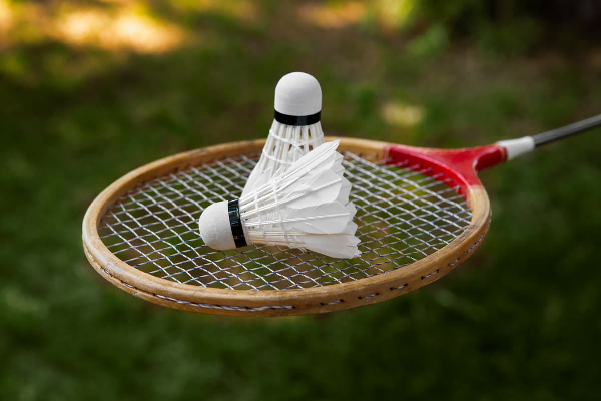 Badminton players at Veena Vidhyalaya